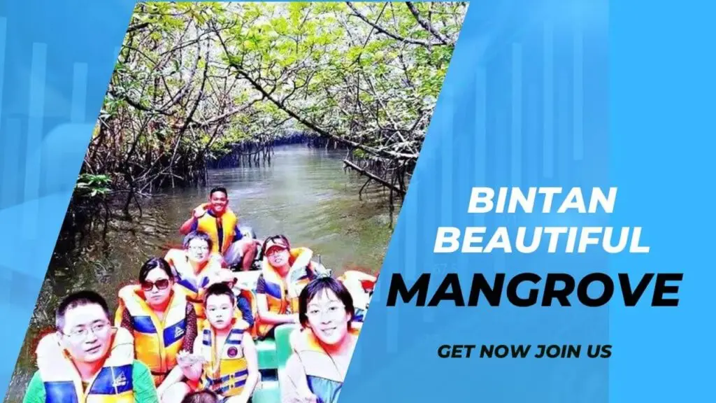 Bintan Mangrove Tour along the Sebung River with local guide and nature experience