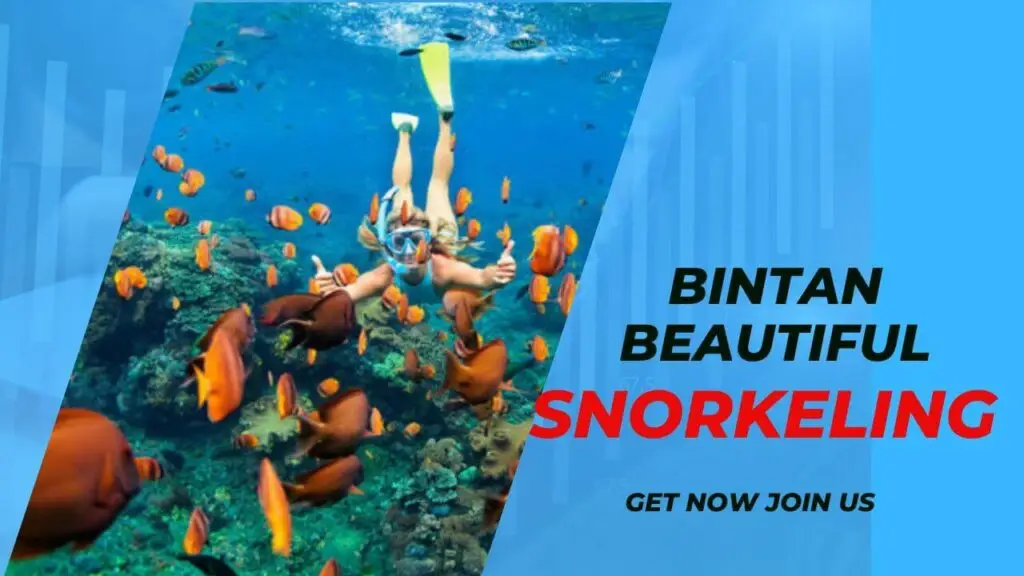 Snorkeling tour in Bintan with clear waters and vibrant marine life