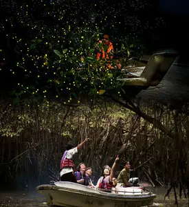 Bintan Firefly Tour along the river at night with boat ride experience