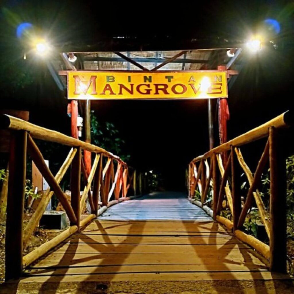 explore bintan mangrove tour