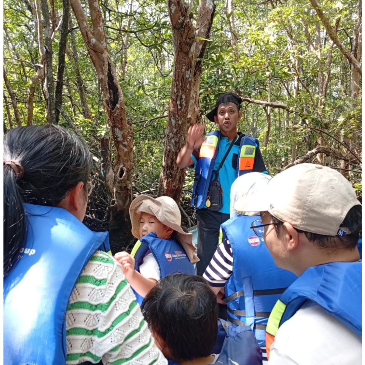 bintan mangrove tour best mangrove river
